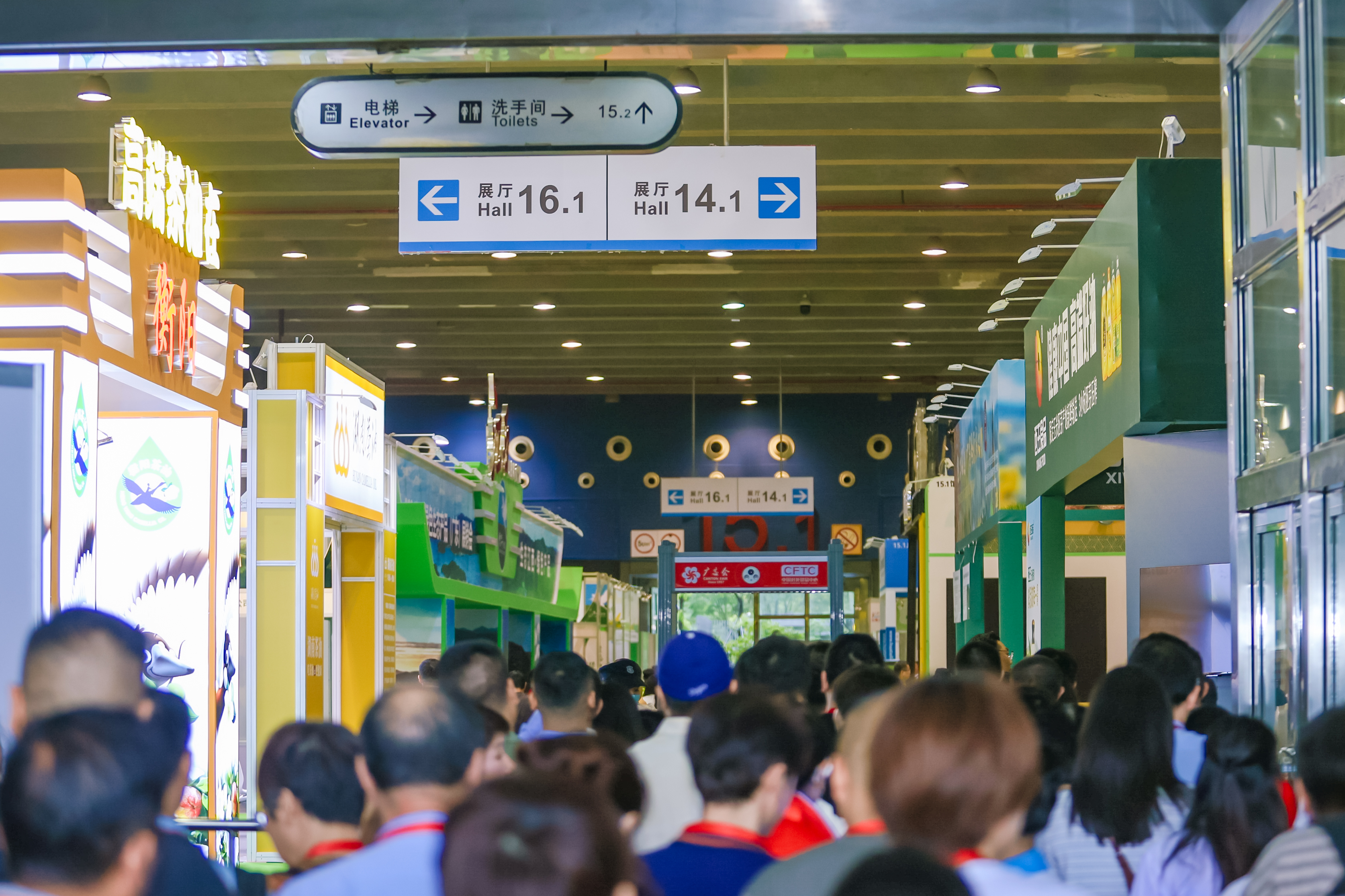 6X1A9510.JPG 6X1A9510.JPG